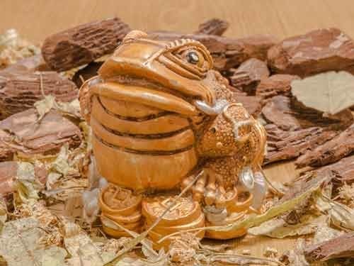 Golden Toad