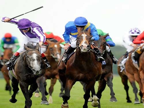 Horse Racing