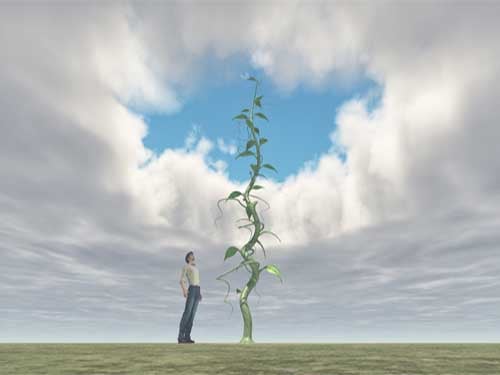 Jack And The Beanstalk