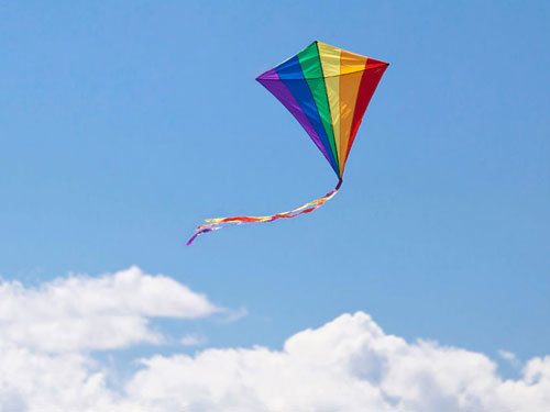 Kite