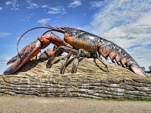 Lobsters