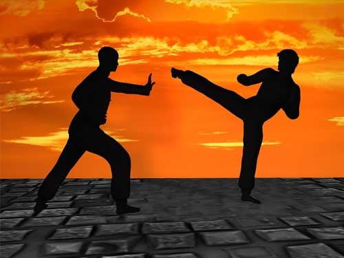 Martial Arts