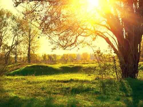 Nature