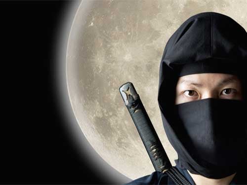 Ninja