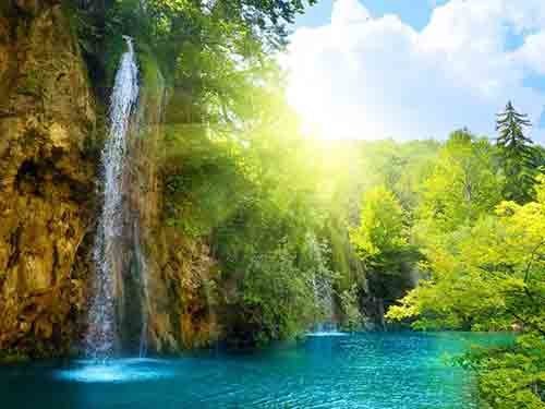 Paradise