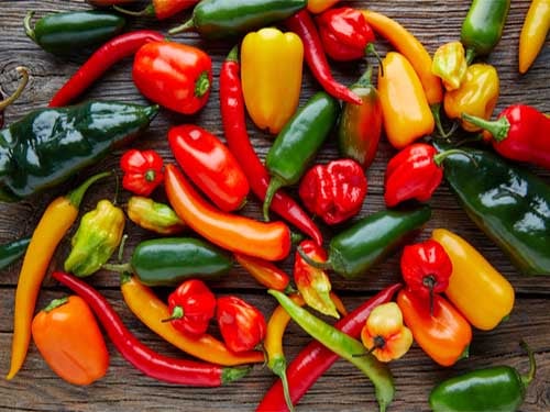 Peppers