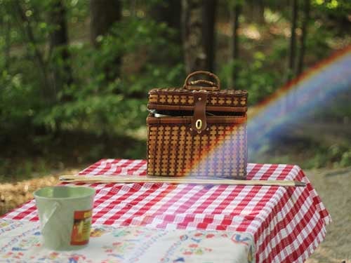 Picnic