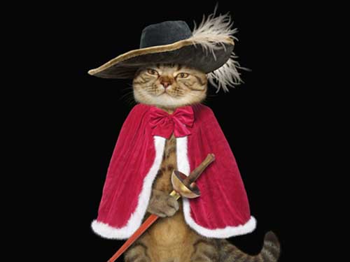 Puss In Boots