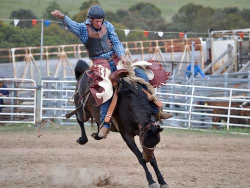 Rodeo