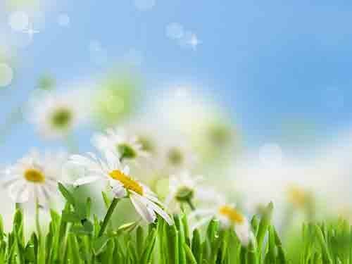 Spring