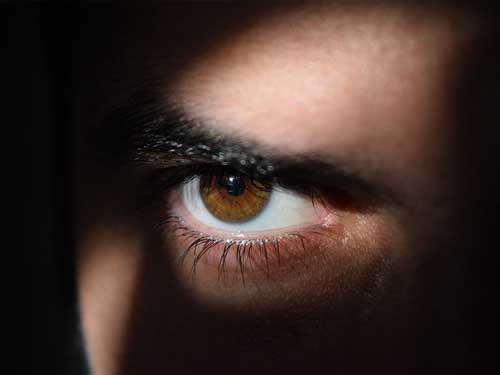 Spy