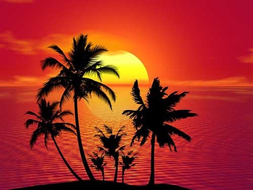 Tropical