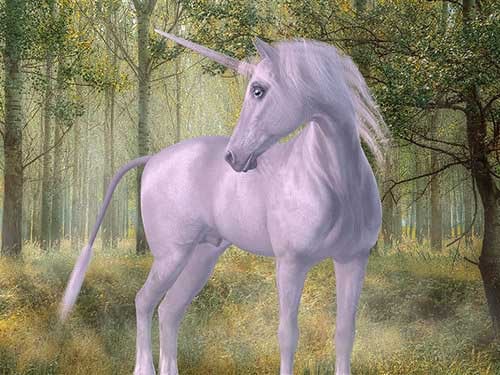 Unicorns