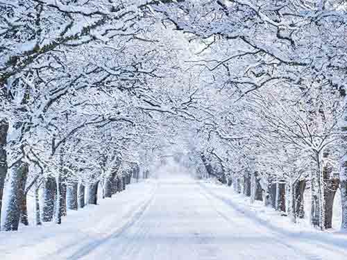 Winter