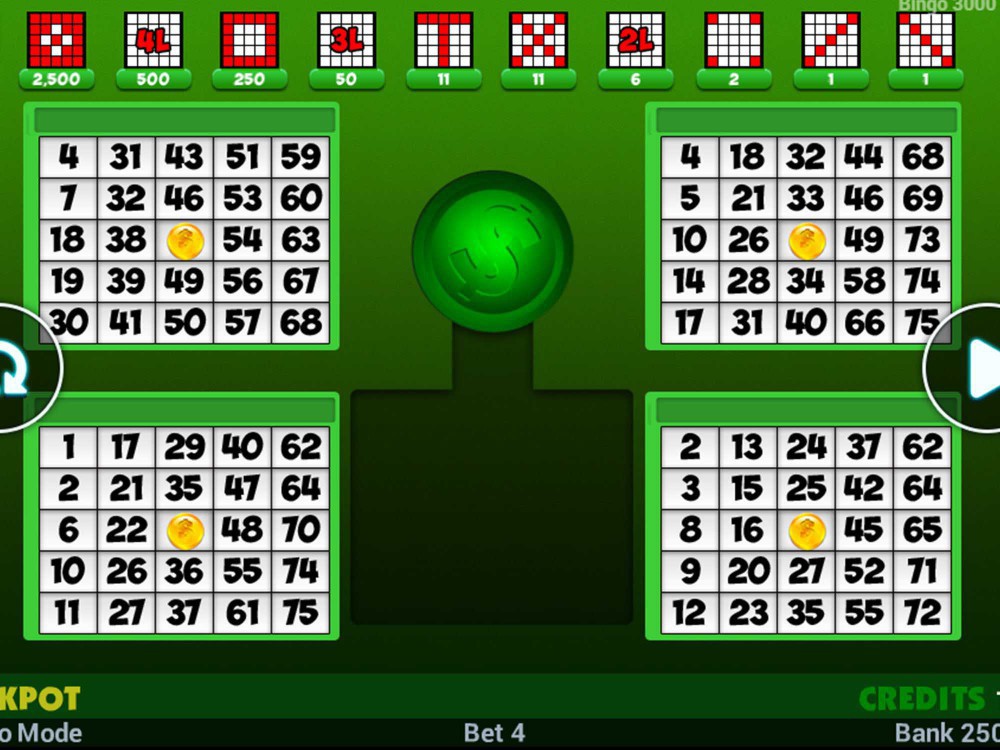 Bingo 3000 screenshot