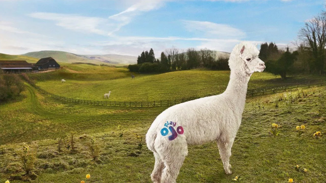 New PlayOJO Casino Ad Campaign Features a Dancing Alpaca Strutting Its Stuff