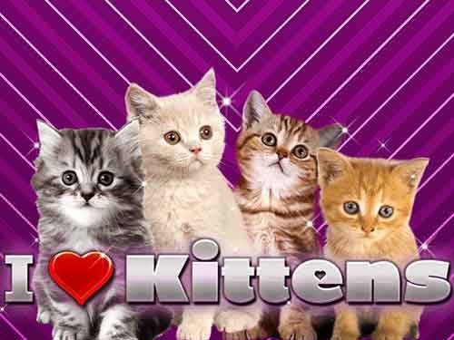 I Love Kittens Game Logo