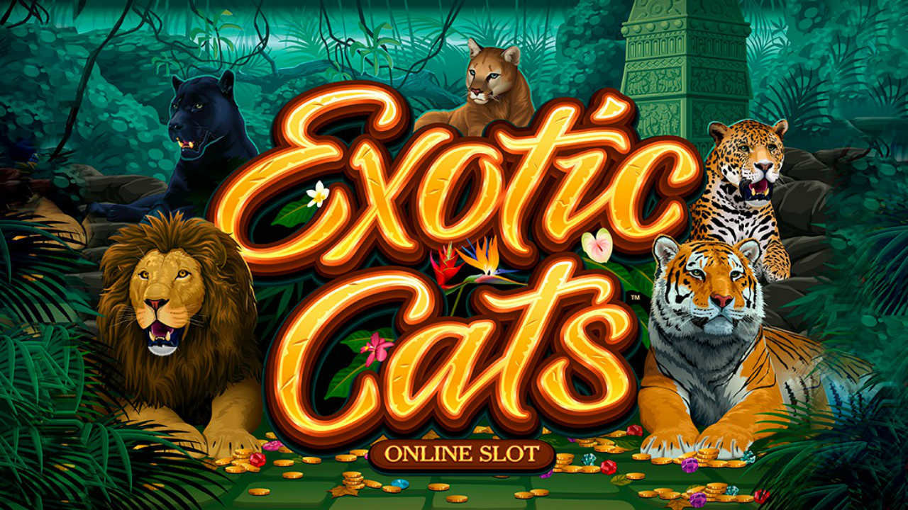 Jungle Adventures Await on the New Exotic Cats Slot by Microgaming