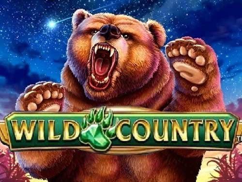 Wild Country Game Logo