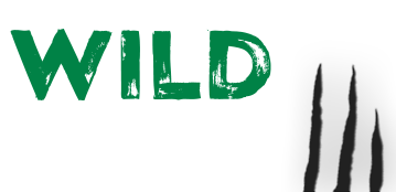 WildCasino Logo