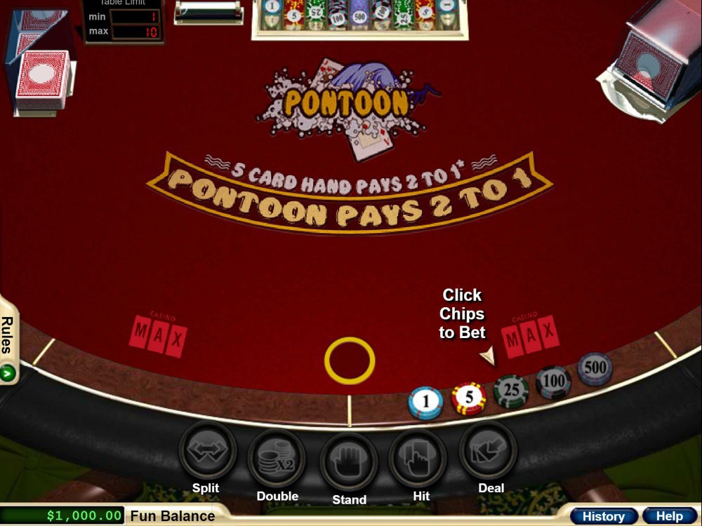 Pontoon Game Screenshot