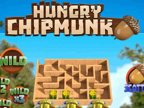 Hungry Chipmunk Game Logo