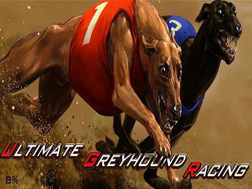 Greyhound Racing Singlepl Game Logo