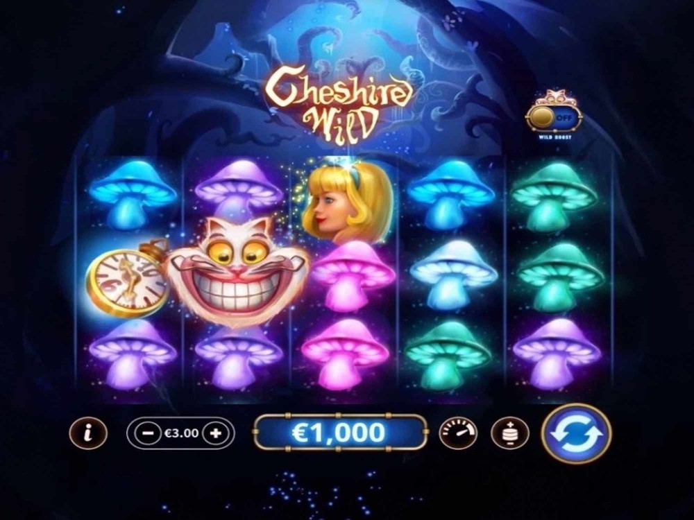 Seven slots free Seven slots free