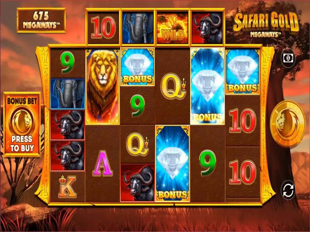 Safari Safari