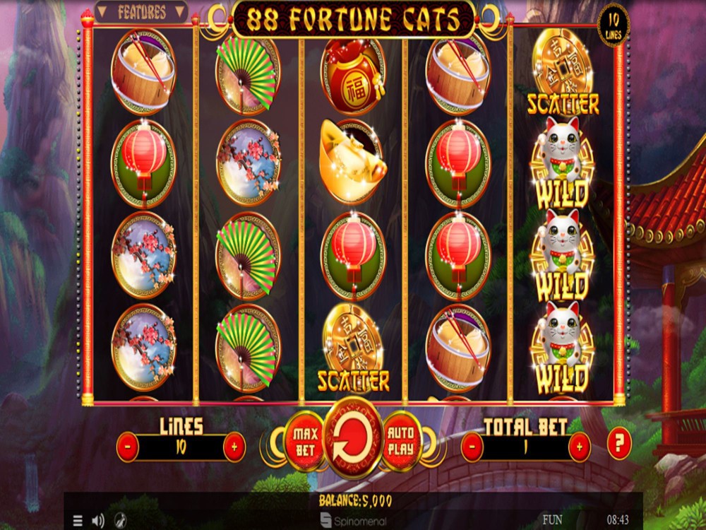 Jogos caca-niqueis Lady Robin Hood Jogos caca-niqueis Lady Robin Hood