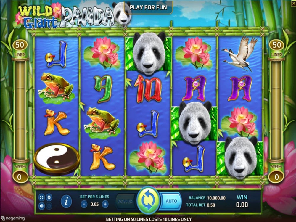 Great panda scientific name Great panda scientific name