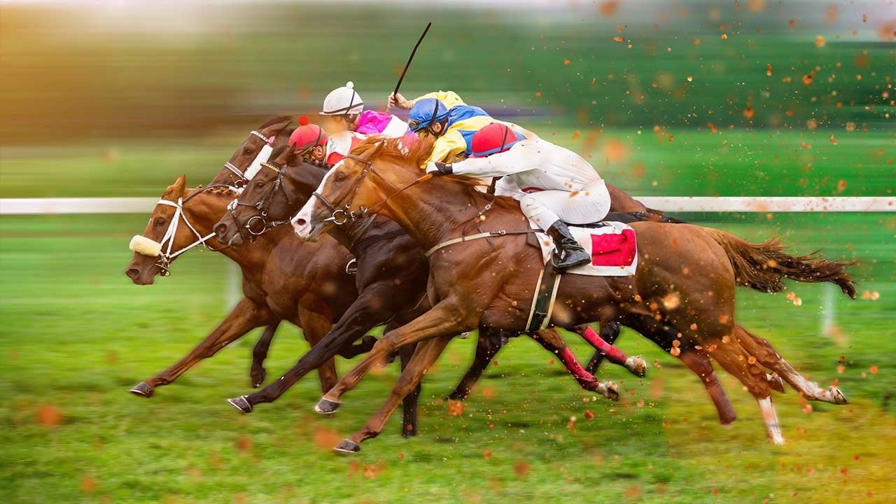 Horse Racing From Ancient History to Today