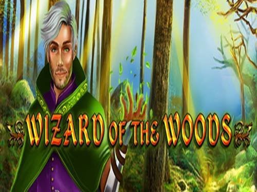 Wizard of The Woods Game Logo