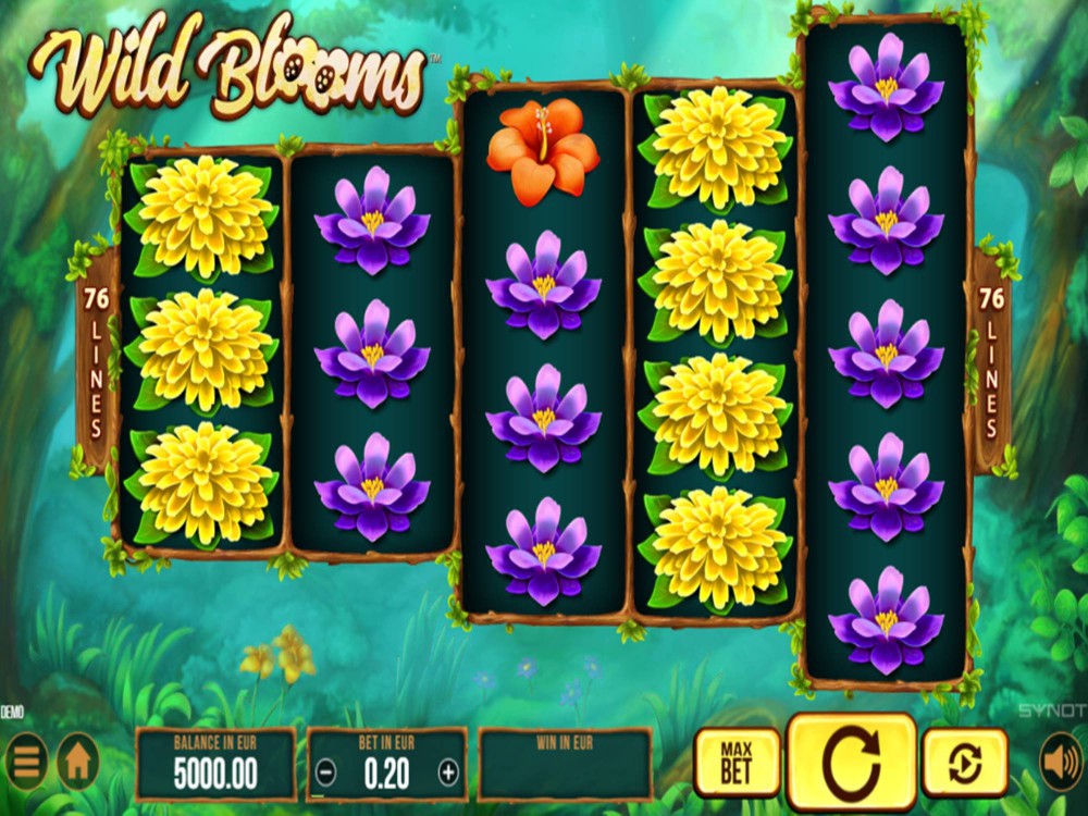 Slots Slots