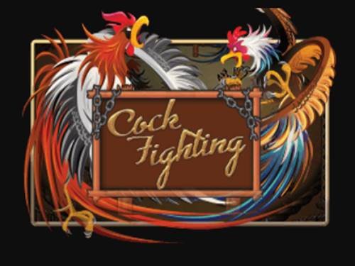 Cock Fighting Game Logo