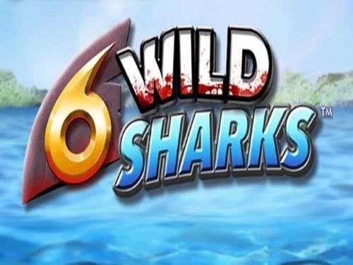 6 Wild Sharks Game Logo