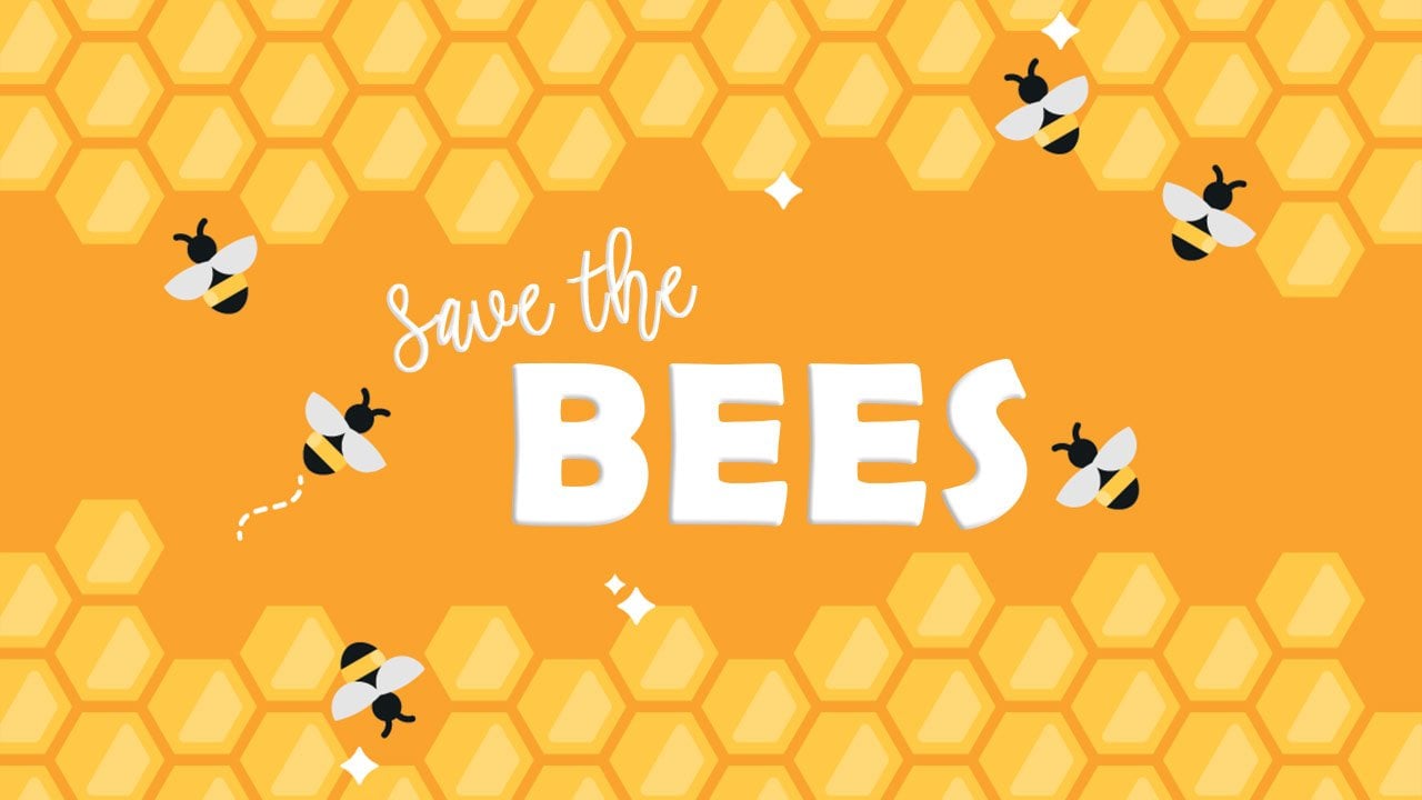 Feel the buzz this National Honey Bee Day!