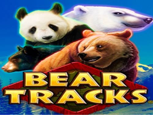 Bear Tracks Game Logo