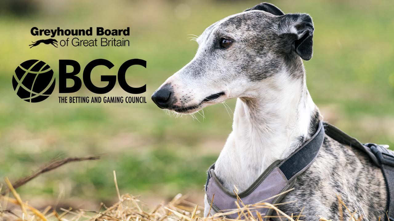 British Greyhound Racing Fund Receives Much Needed Support
