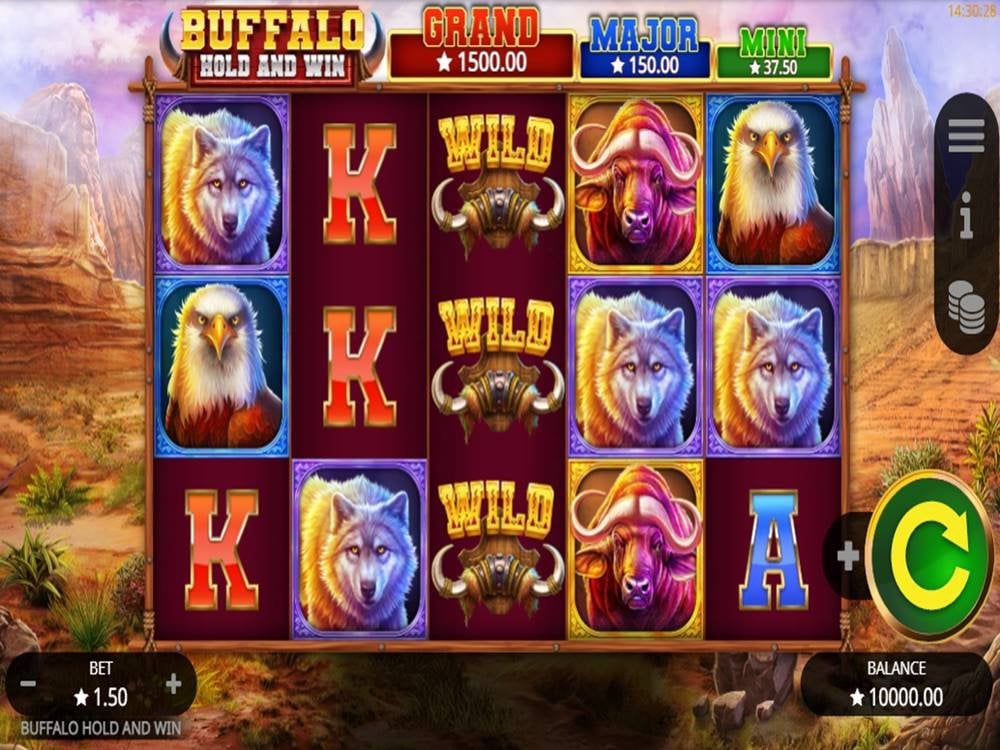 Buffalo Hold And Win Game Screenshot