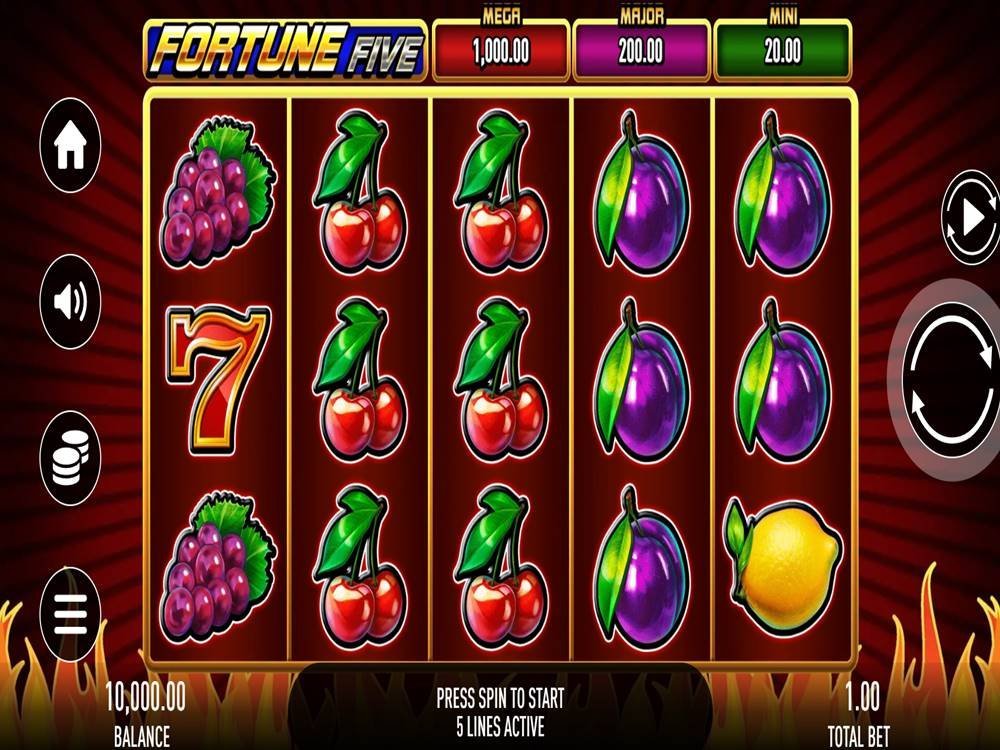 Fortune Five Game Screenshot