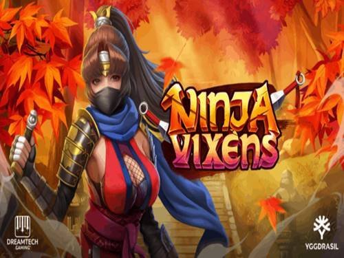 Ninja Vixens Game Logo