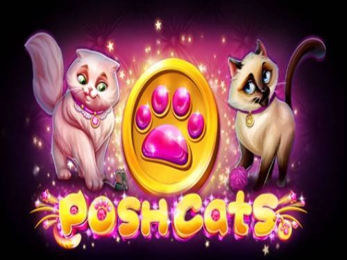 Posh Cats Game Logo