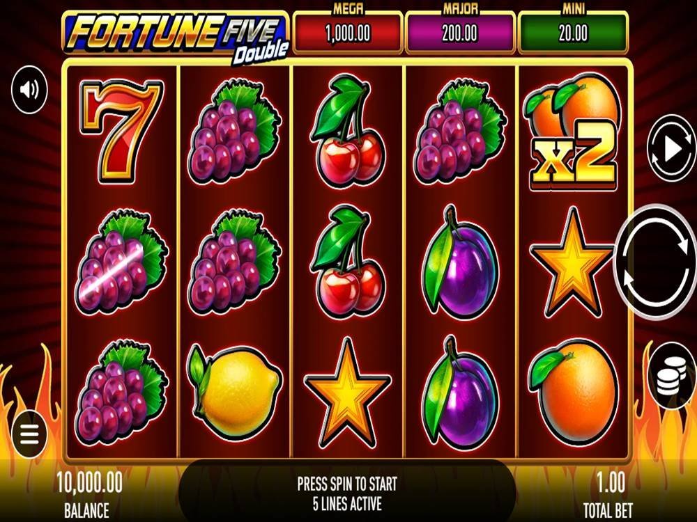 Fortune Five Double Game Screenshot