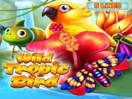 Wild Tropic Bird Game Logo