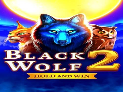 Black Wolf 2: Hold And Win Game Logo