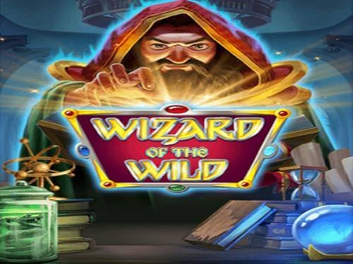 Wizard Of The Wild Game Logo