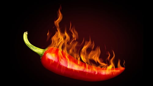 Hottest Jackpots Now