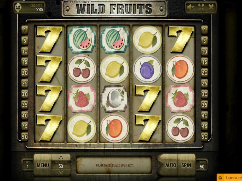 Wild Fruits Game Screenshot