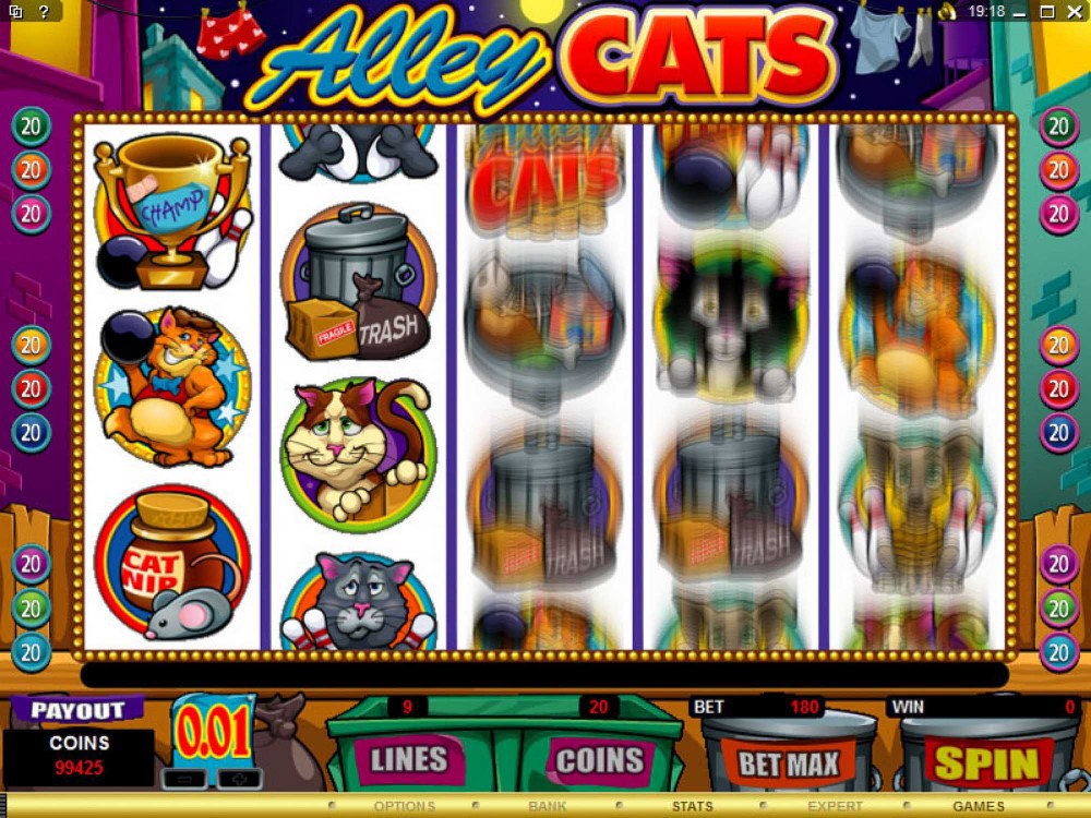 alley cats